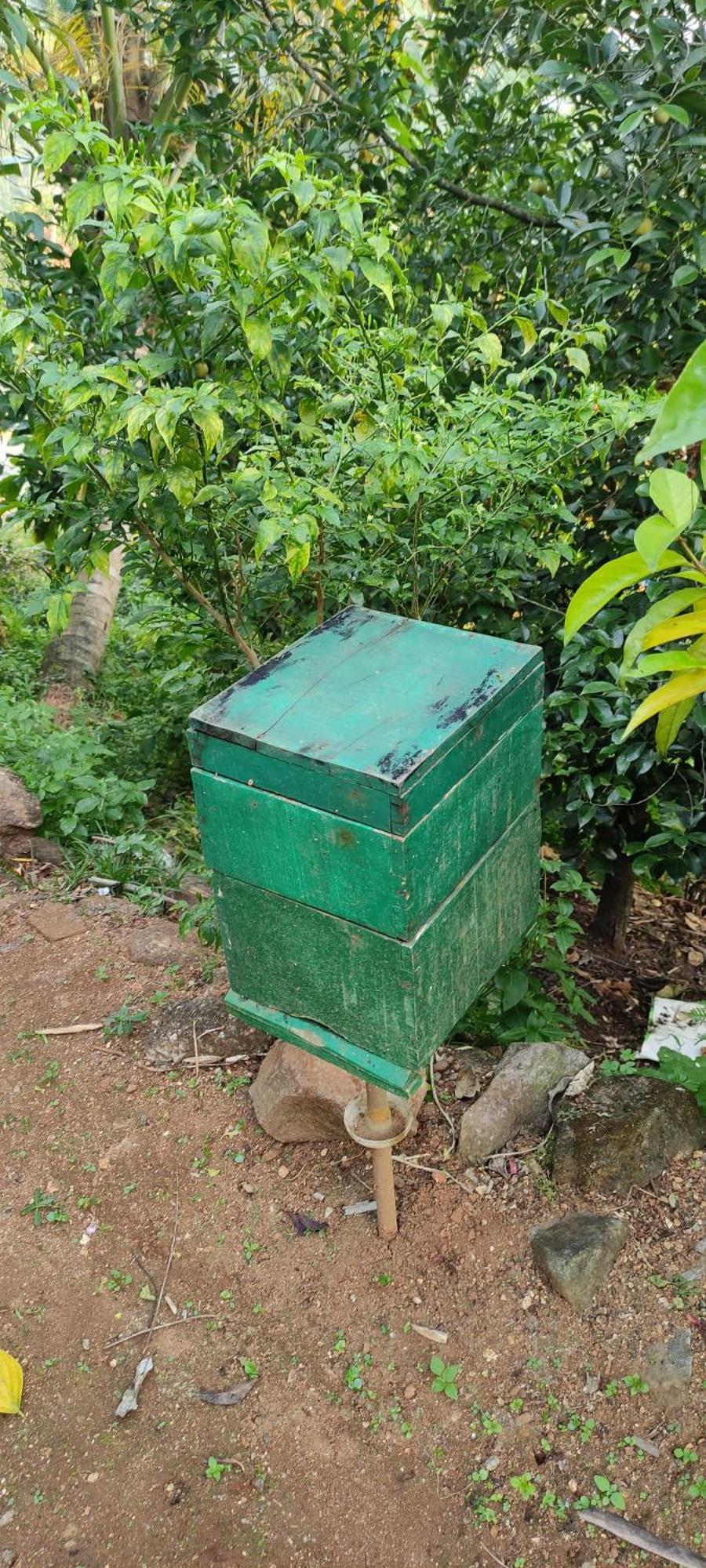 Koonamparayil Home Stay Munnar Anaviratty-Family Only Ngoại thất bức ảnh