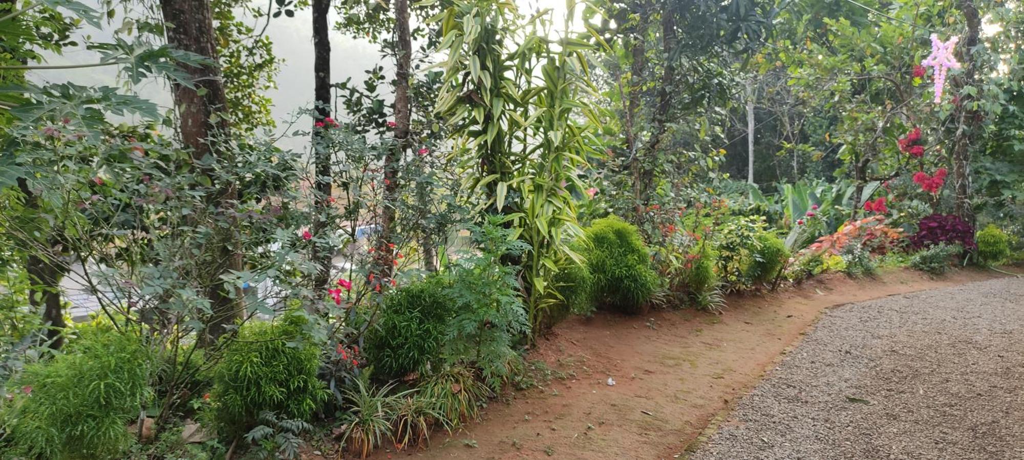 Koonamparayil Home Stay Munnar Anaviratty-Family Only Ngoại thất bức ảnh