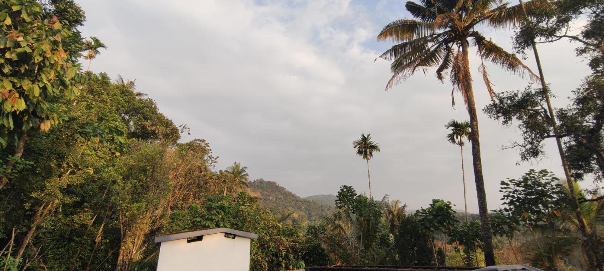 Koonamparayil Home Stay Munnar Anaviratty-Family Only Ngoại thất bức ảnh