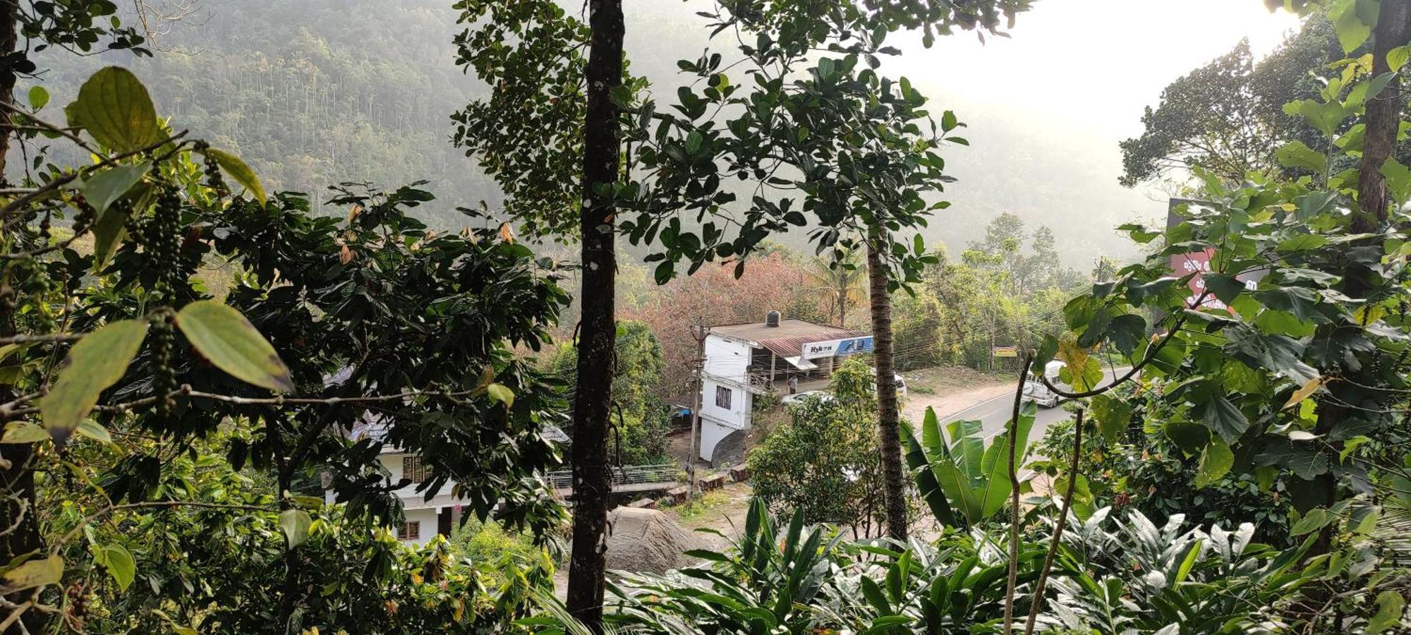 Koonamparayil Home Stay Munnar Anaviratty-Family Only Ngoại thất bức ảnh